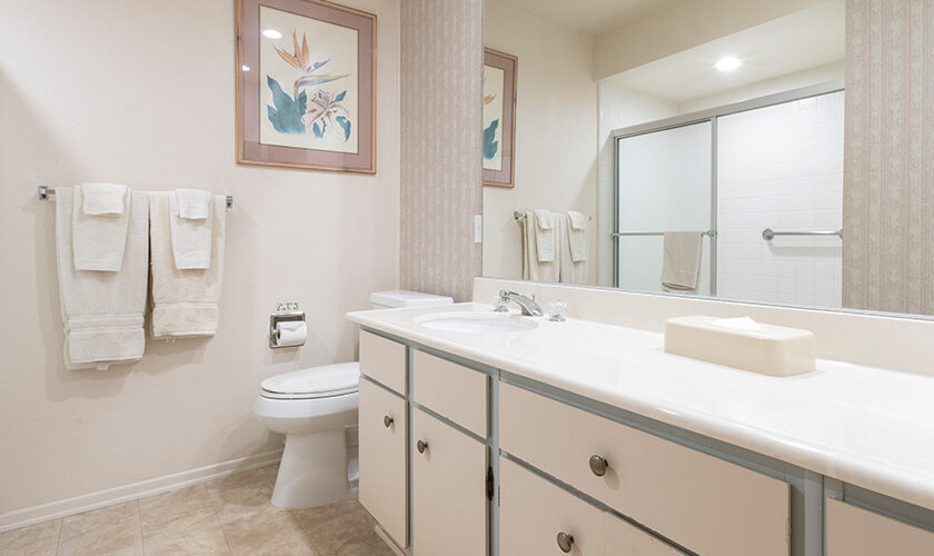 Bathroom with white counters, mirror, toilet