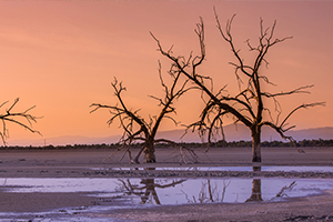 Salton Sea