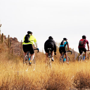 Must Try Bike Tours In Palm Springs