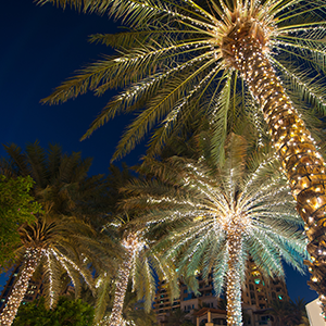 Holidays Palm Springs Style: WildLights at the Living Desert